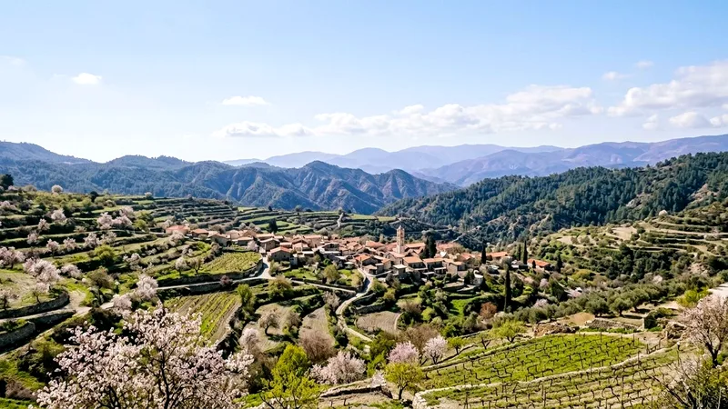 Terraced vineyards and pine-covered Troodos Mountain ridges near Omodos in spring
