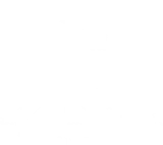 Four Seasons Hotel logo