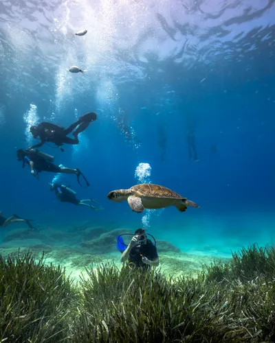 Snorkeling Rentals Cyprus