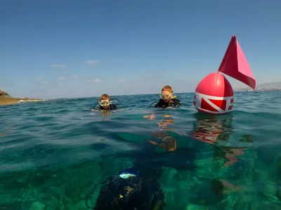 Marine Divers - British Owned PADI 5* Scuba Diving Centre, Paphos, Cyprus