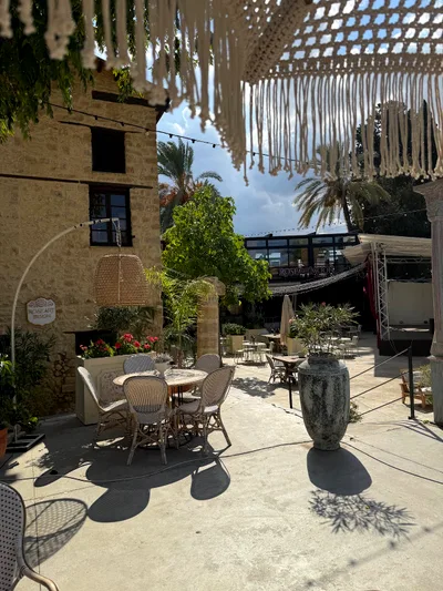 Avlu Nicosia