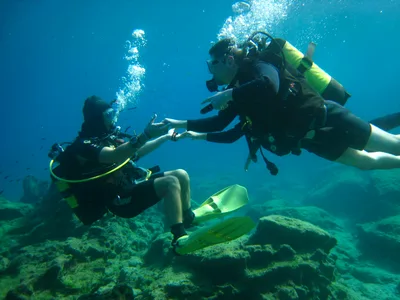 Dive-In Larnaca