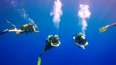 Cyprus Underwater Explorers